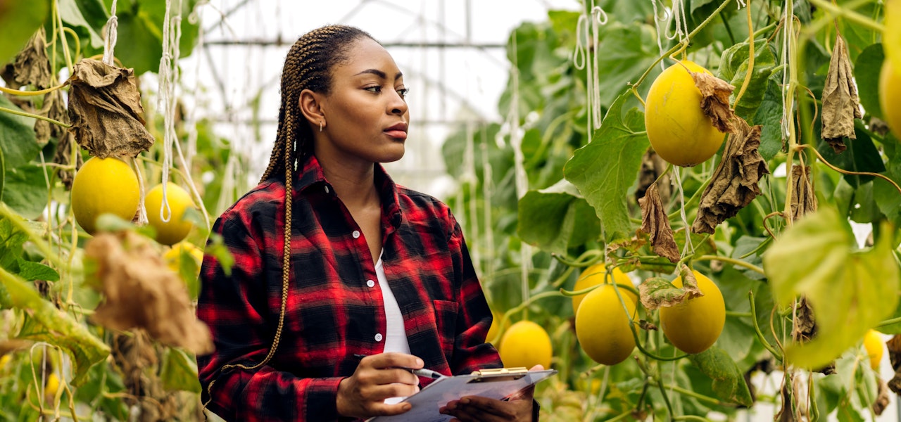 food-scientist-in-greenhouse