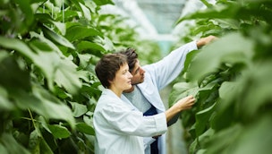 food-scientists-in-a-greenhouse