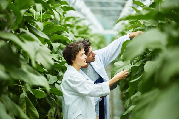 food-scientists-in-a-greenhouse