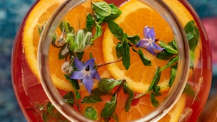 orange-kombucha-with-blossoms
