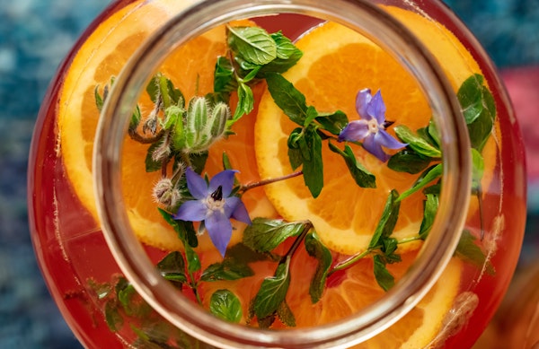 orange-kombucha-with-blossoms