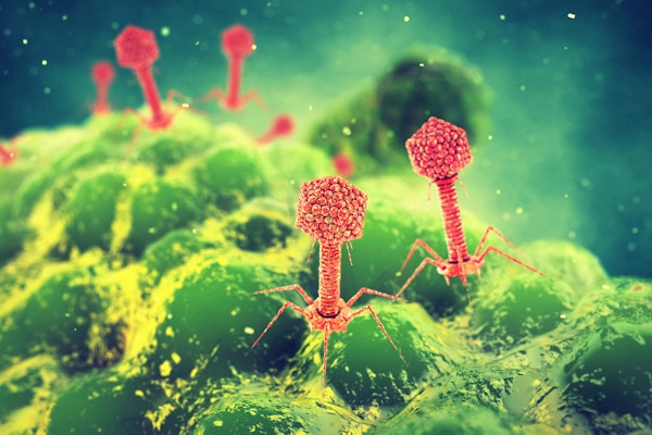 phages-attacking-a-bacterium