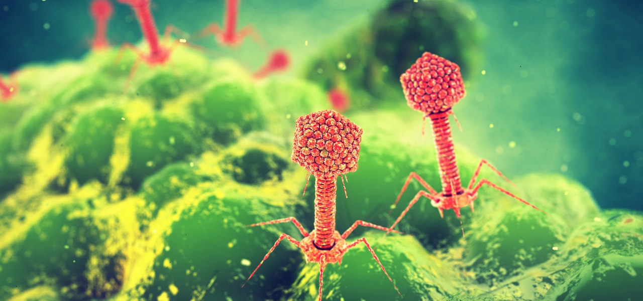 phages-attacking-a-bacterium