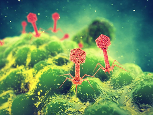 phages-attacking-a-bacterium