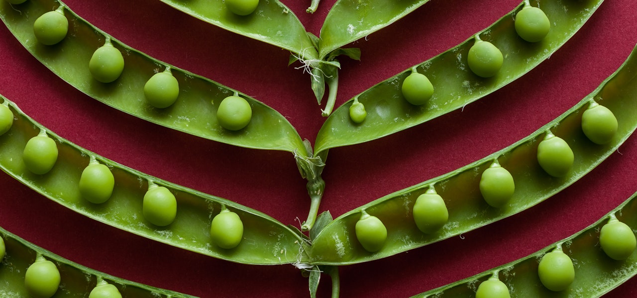 pea-pods-on-red-background