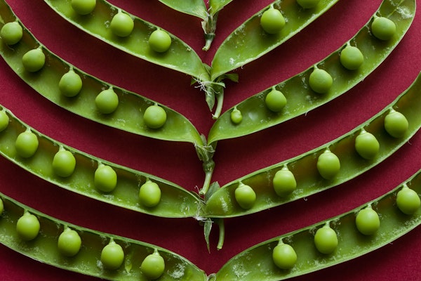 pea-pods-on-red-background