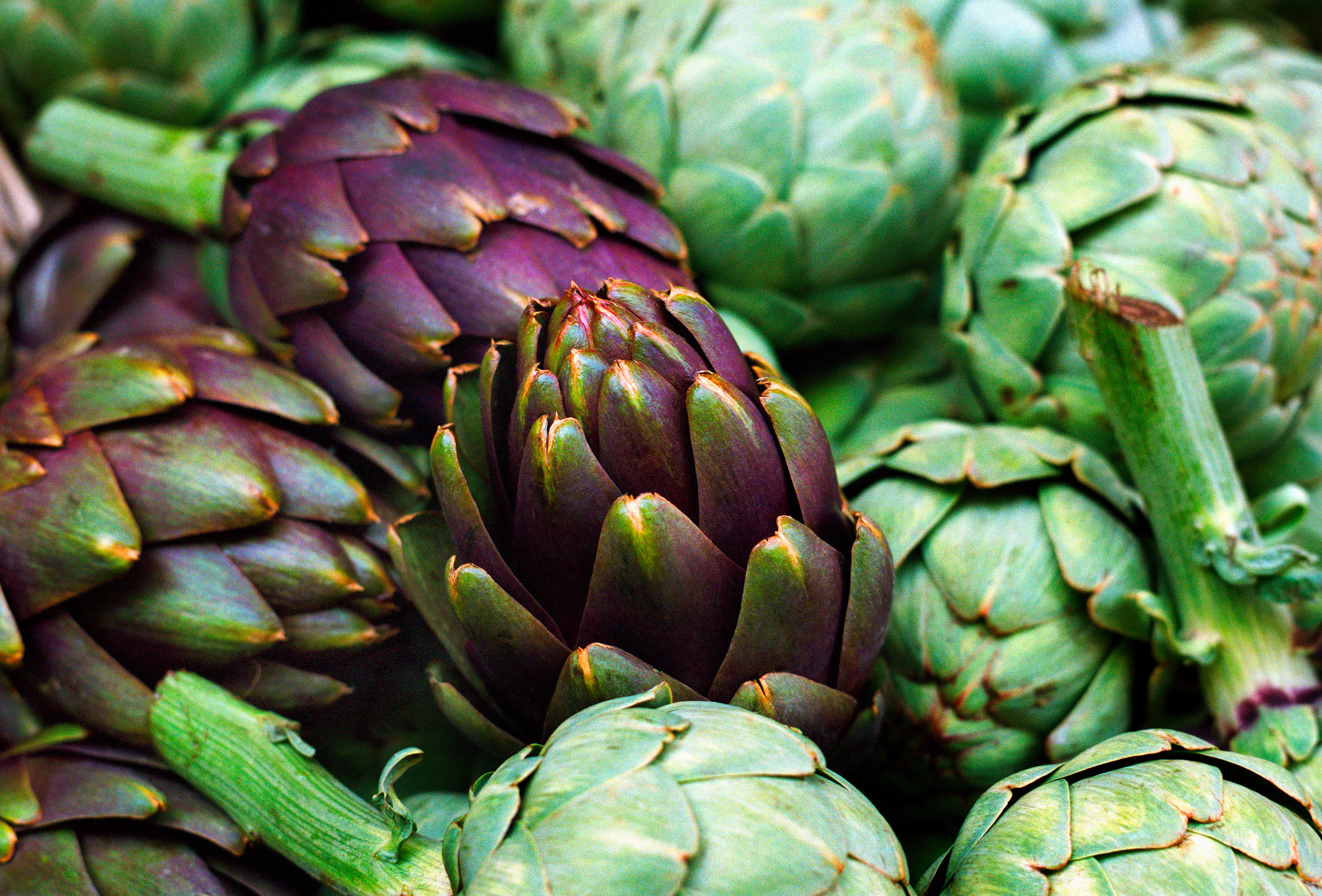 Vegetables High in Protein Best Options and Nutrition