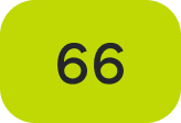 66