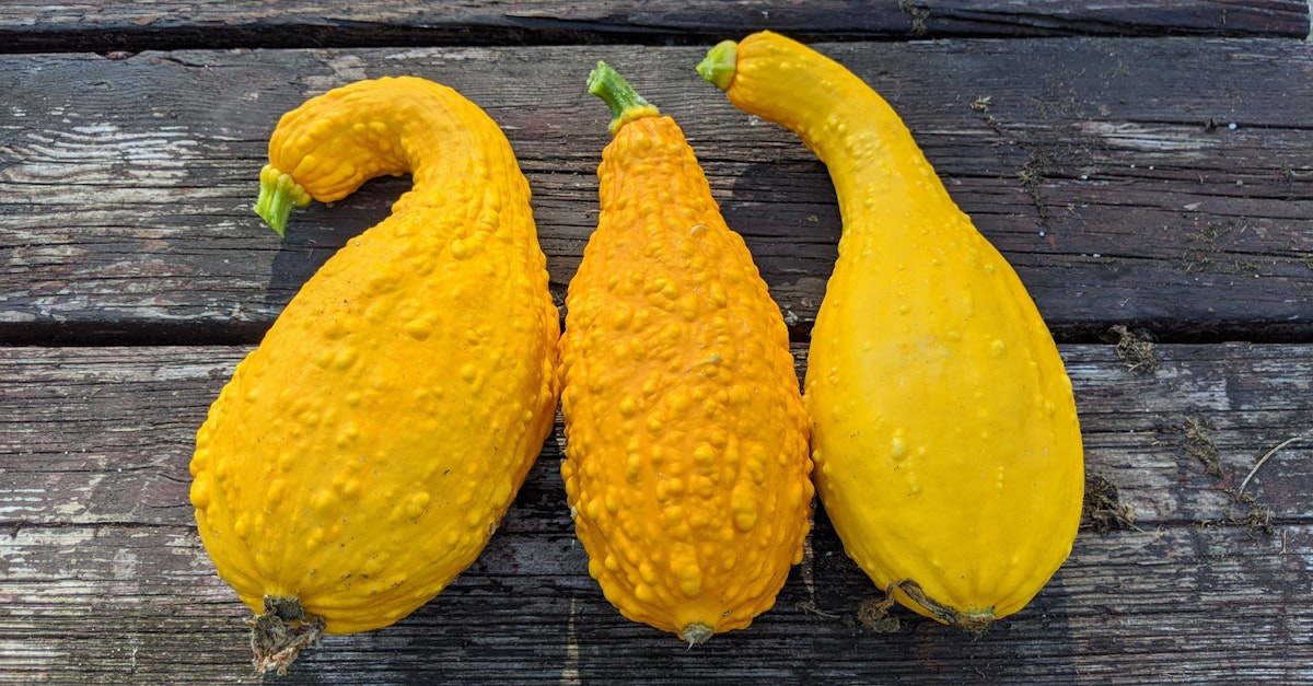 Why is My Poop Yellow? 6 Causes and What To Do