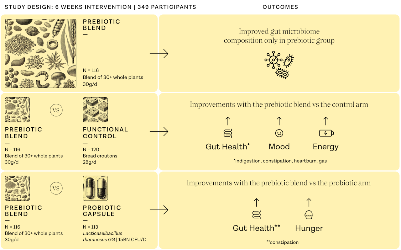 ZOE’s Wholefood Supplement Daily30+: The Evidence