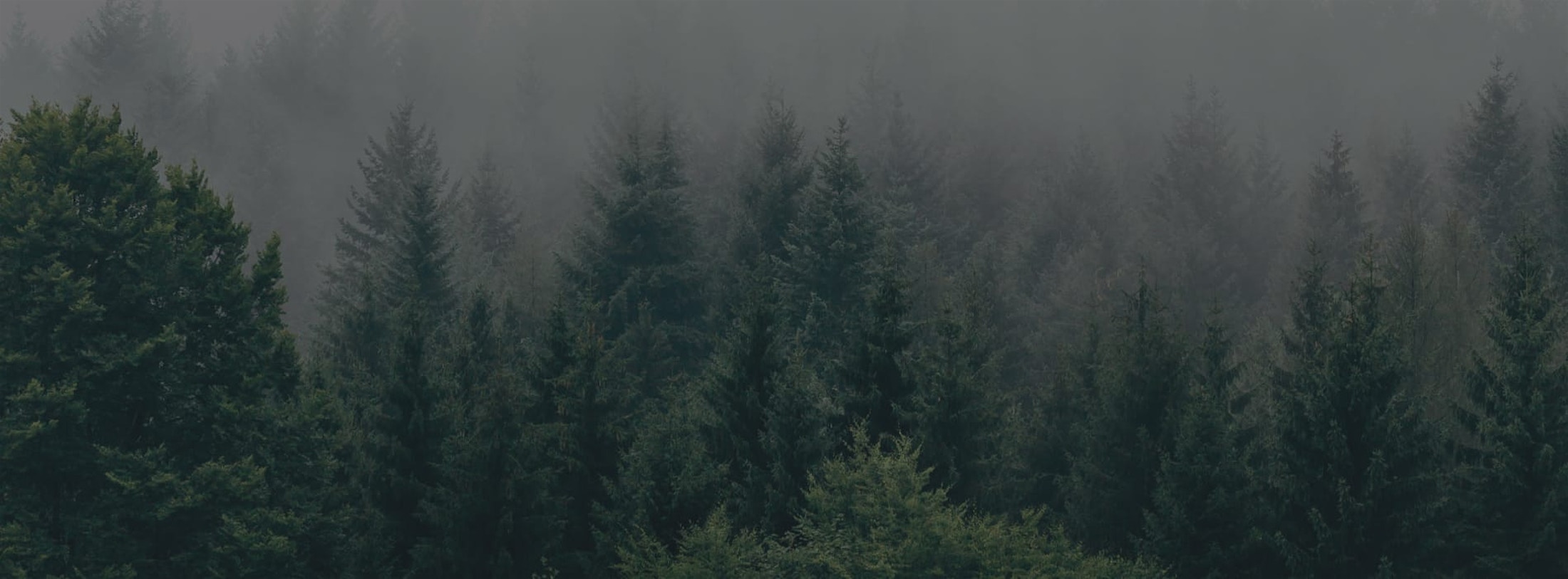 Banner background media