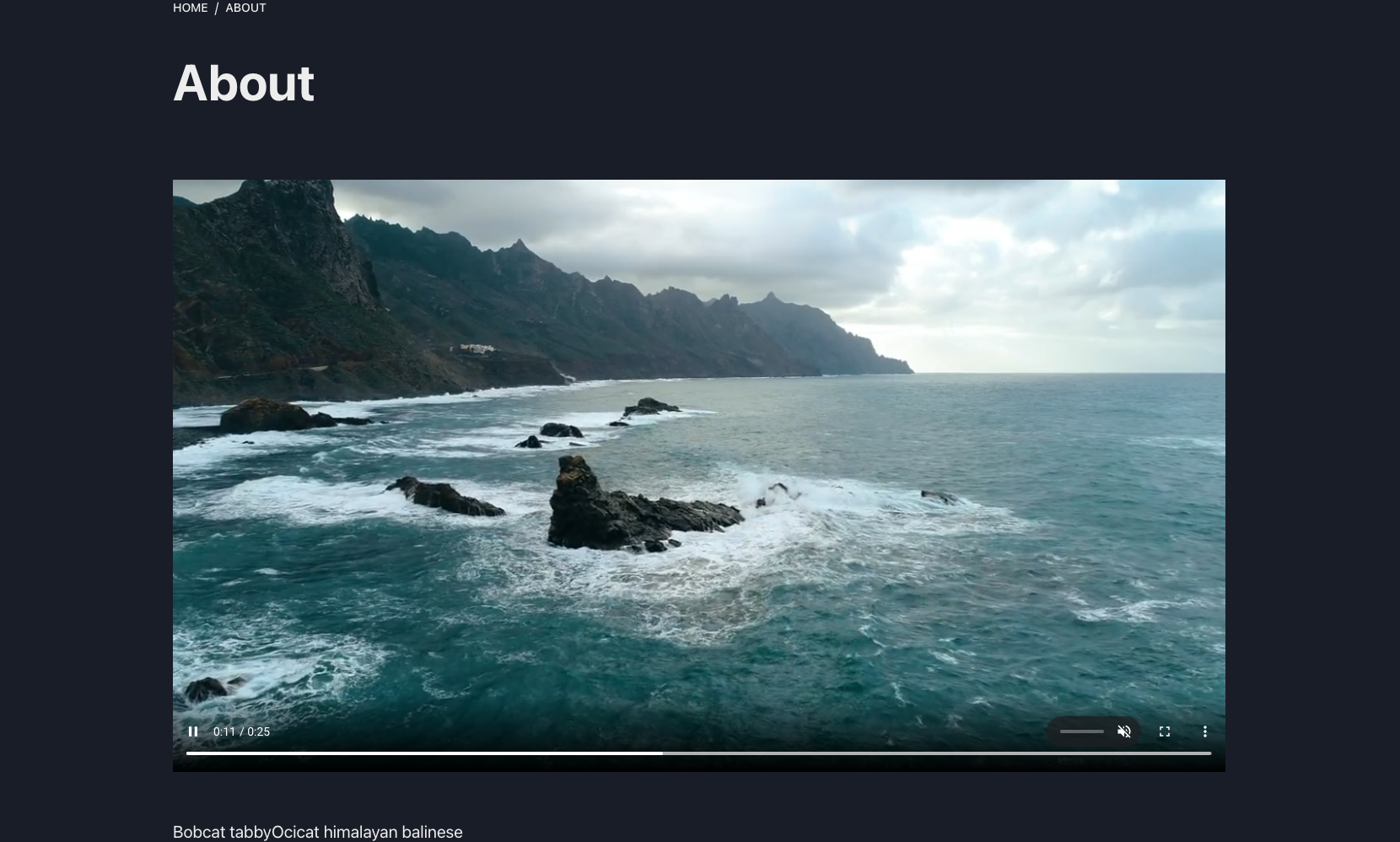 A custom video player to play uploaded video also in Hls