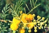 (Photo: Land Protection, QDNRW) 