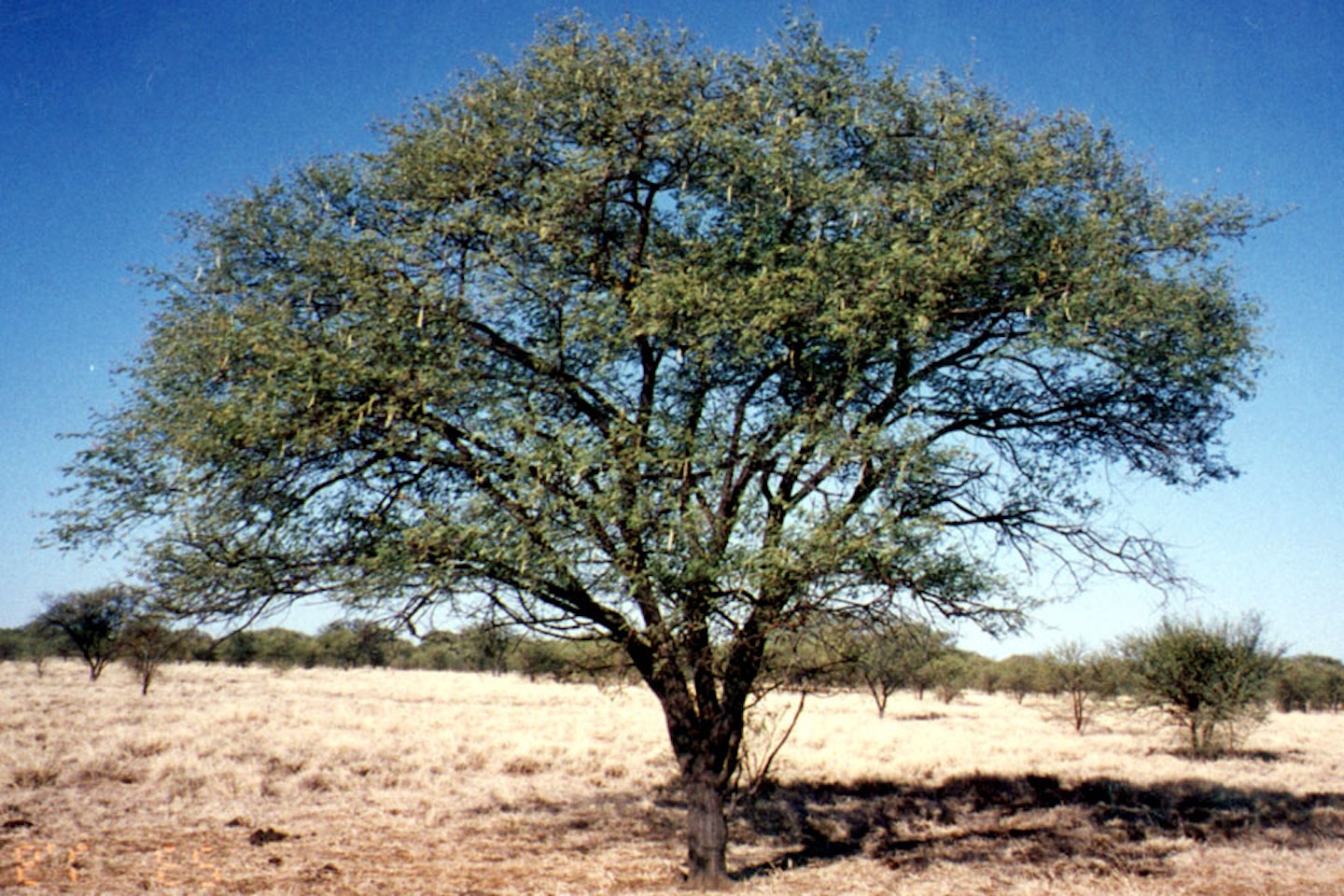 (Photo: Land Protection, QDNRW) 