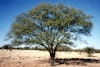 (Photo: Land Protection, QDNRW) 