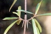 (Photo: Land Protection, QDNRW) 
