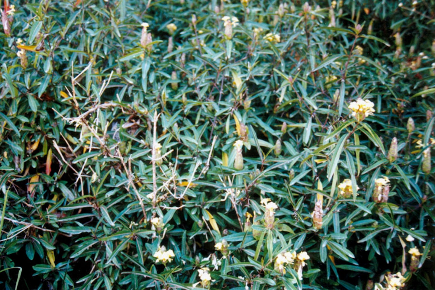 (Photo: Land Protection, QDNRW) 