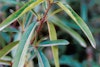 (Photo: Land Protection, QDNRW) 