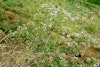 (Photo: Land Protection, QDNRW) 