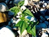 (Photo: Land Protection, QDNRW) 