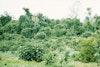 (Photo: Land Protection, QDNRW) 