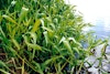 (Photo: Land Protection, QDNRW) 