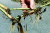 (Photo: Land Protection, QDNRW) 