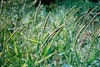 (Photo: Land Protection, QDNRW) 
