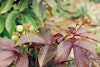(Photo: Land Protection, QDNRW) 