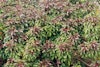 (Photo: Land Protection, QDNRW) 