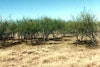 (Photo: Land Protection, QDNRW) 