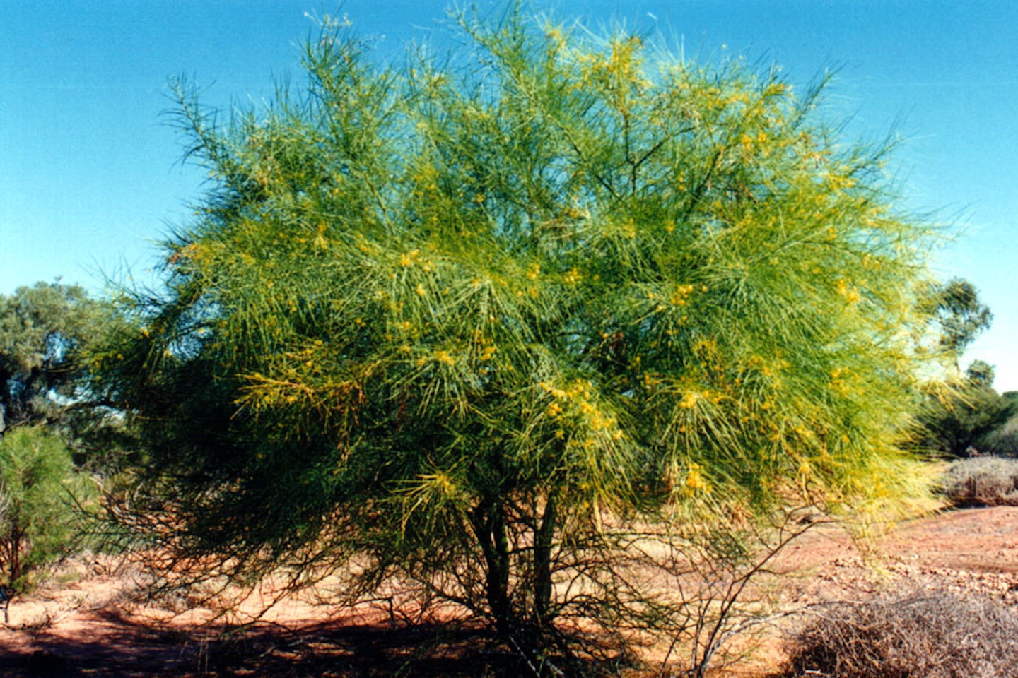 (Photo: Land Protection, QDNRW) 