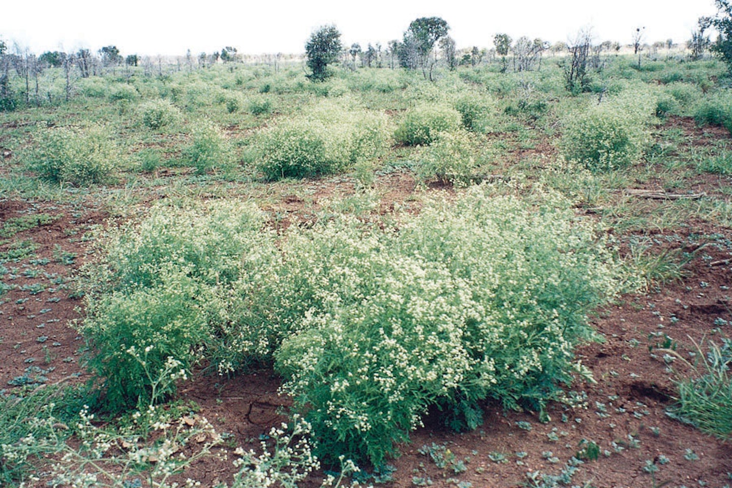 (Photo: Land Protection, QDNRW) 
