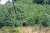 (Photo: Land Protection, QDNRW) 
