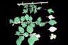 (Photo: Land Protection, QDNRW) 
