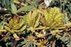 (Photo: Land Protection, QDNRW) 