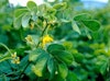 (Photo: Land Protection, QDNRW) 