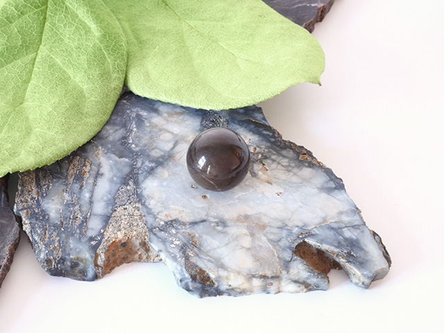 WaldStein Markenbild