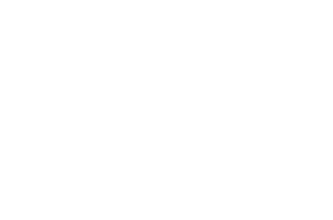 Platadepalo Markenlogo