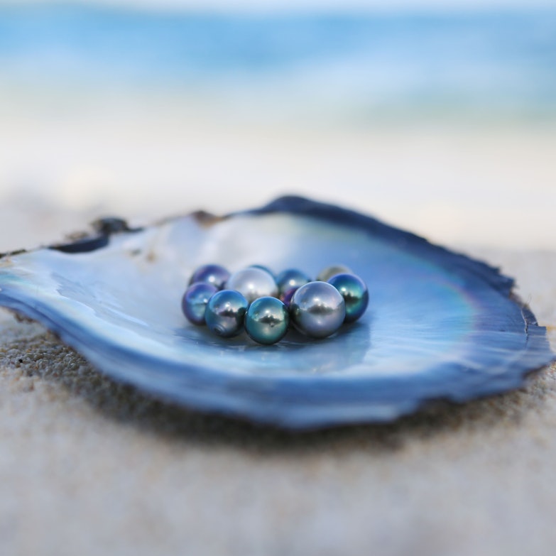 Perlen in der Auster