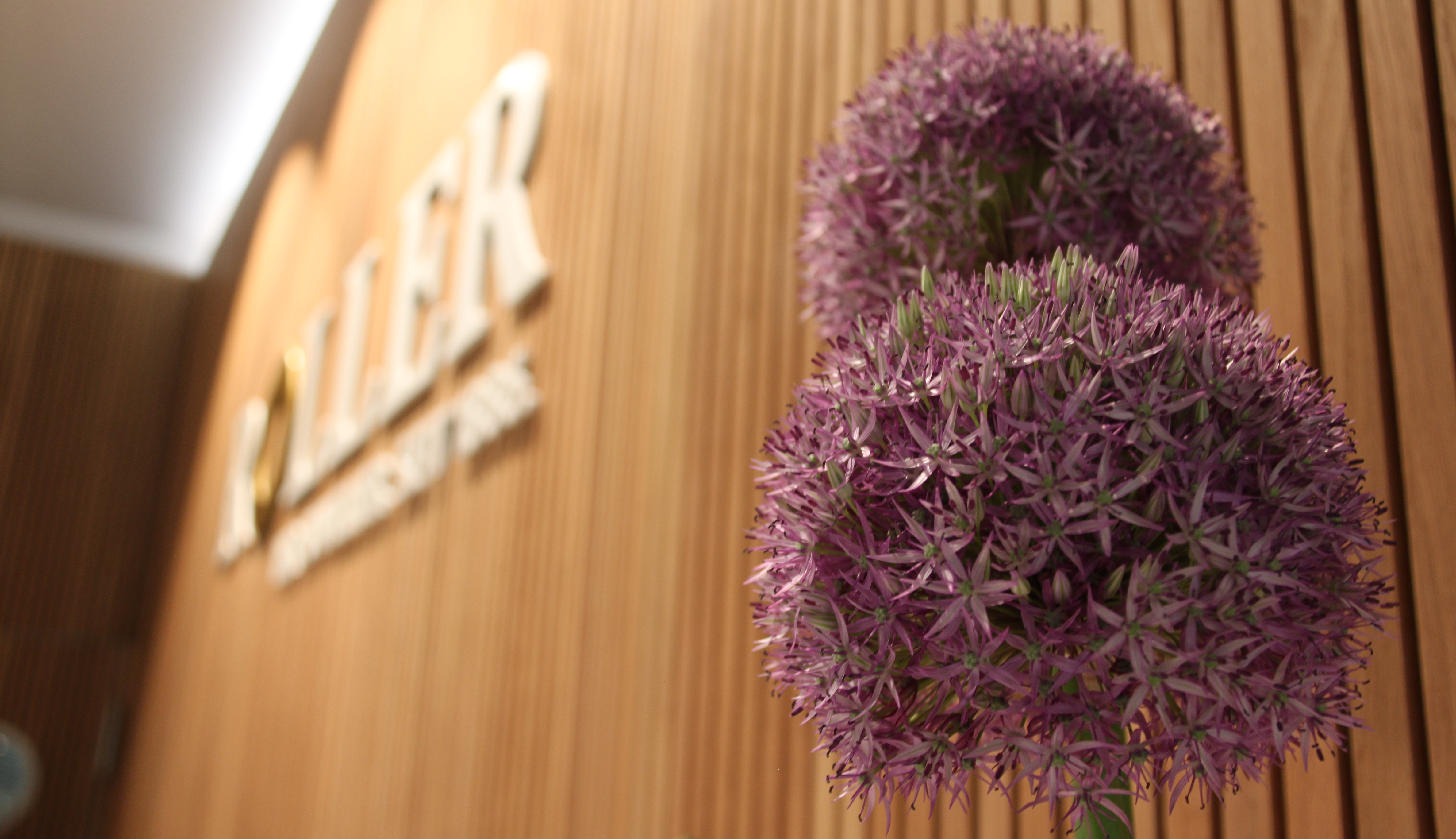 Empfangsbereich Juwelier Roller