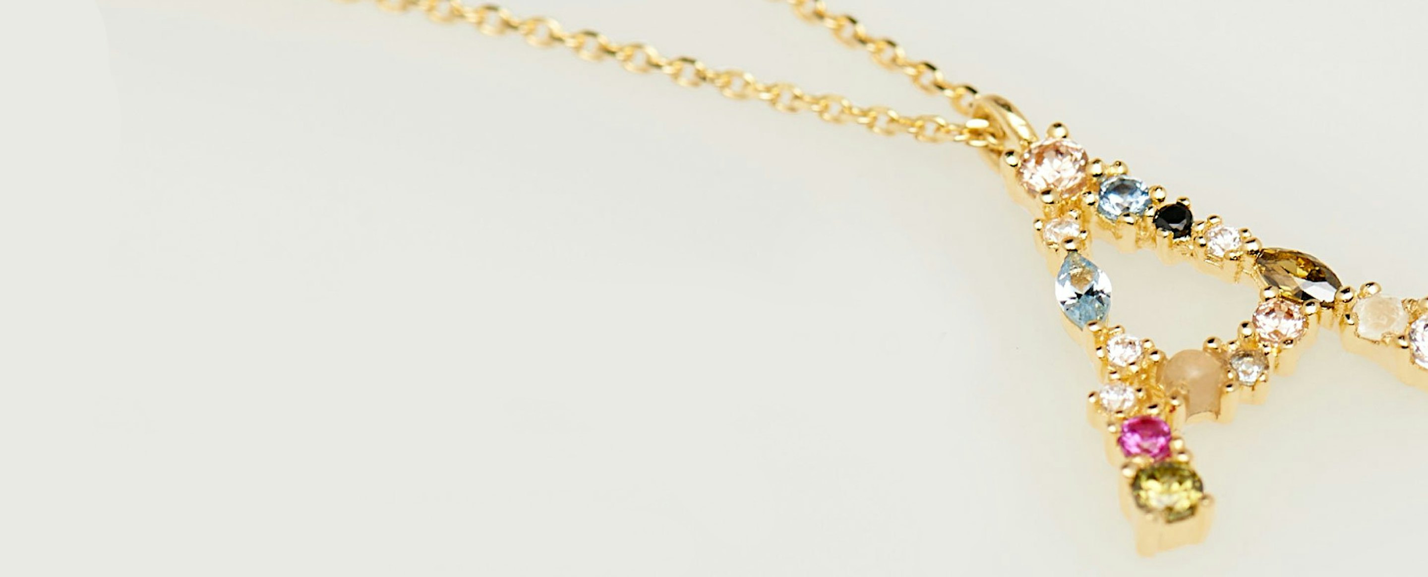 PDPaola Markenheader