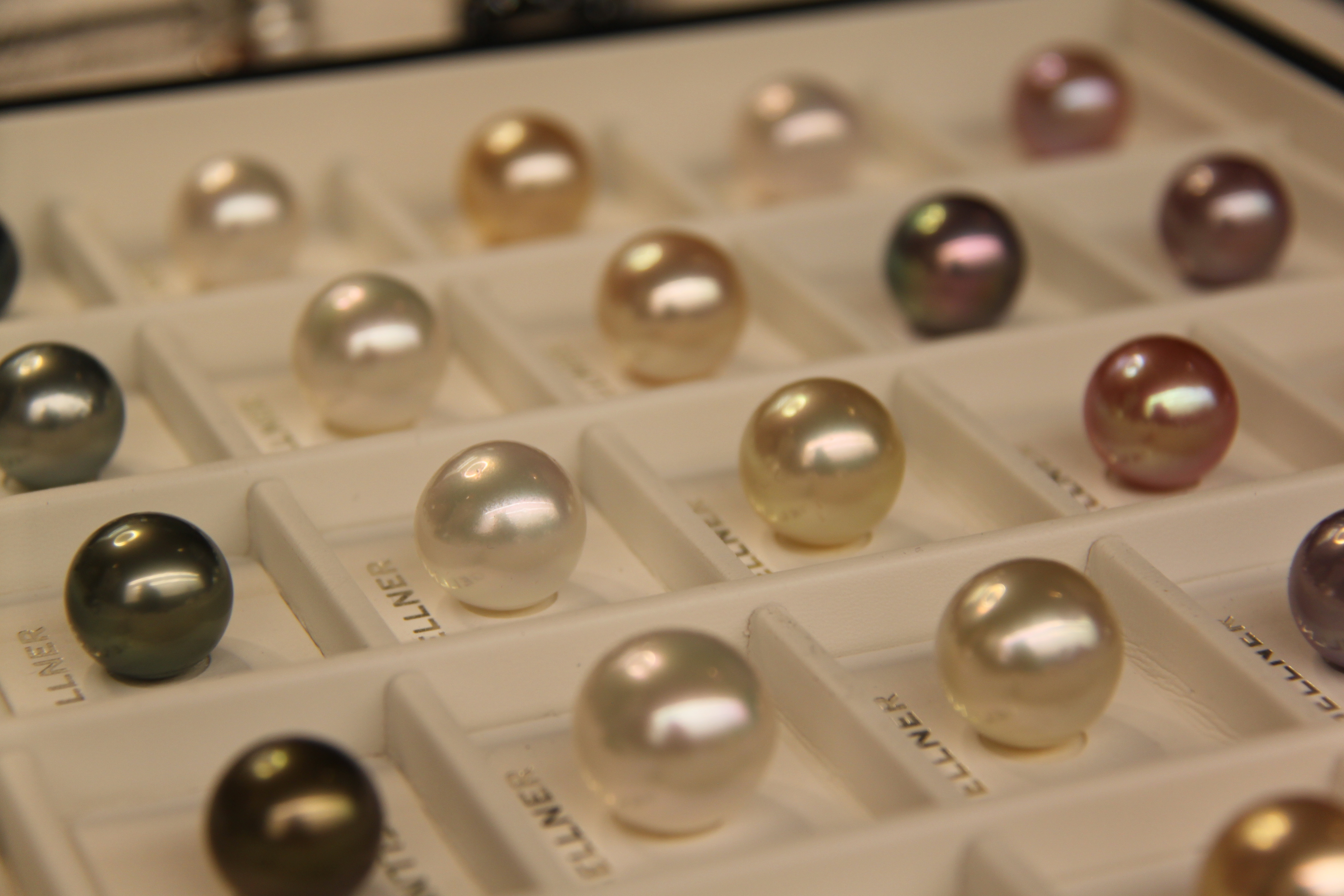 Eröffnungsfeier Markt 20/21 am 15.06.2019