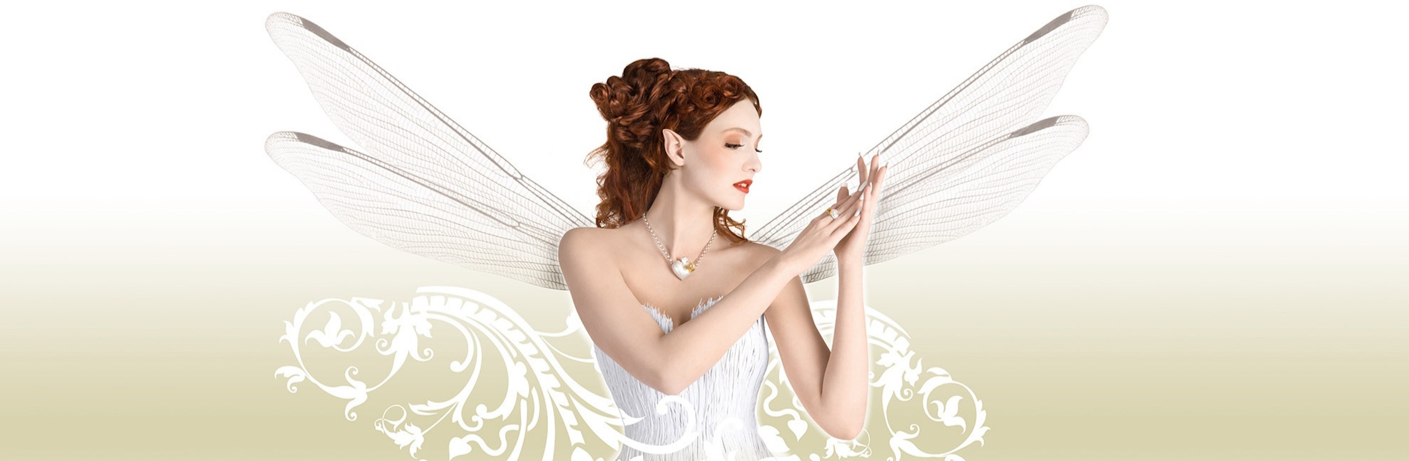 Drachenfels Markenheader