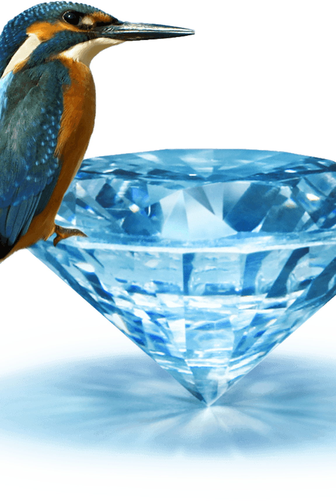 Eisvogel auf blauem Diamant