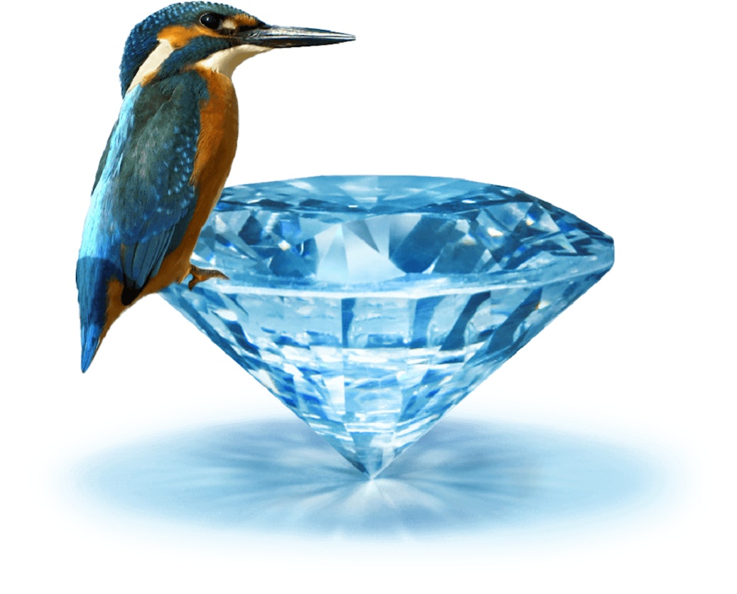 Eisvogel auf blauem Diamant