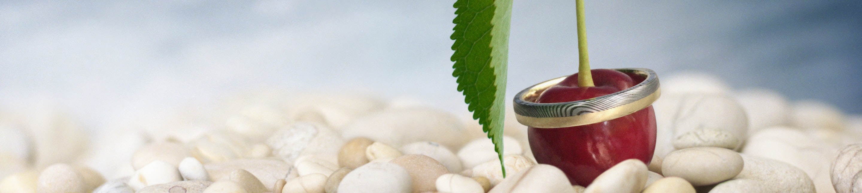 Markenbanner Wagebundt