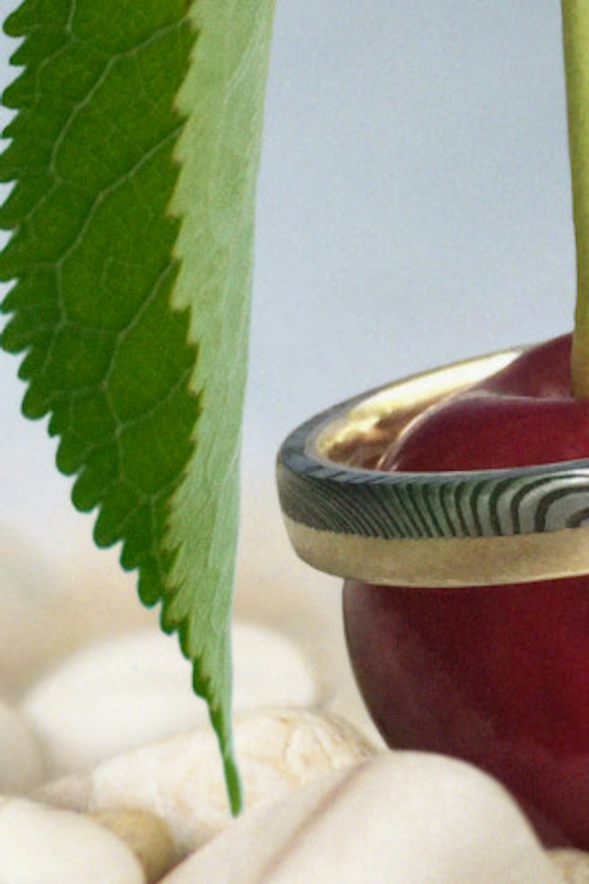 Markenbanner Wagebundt