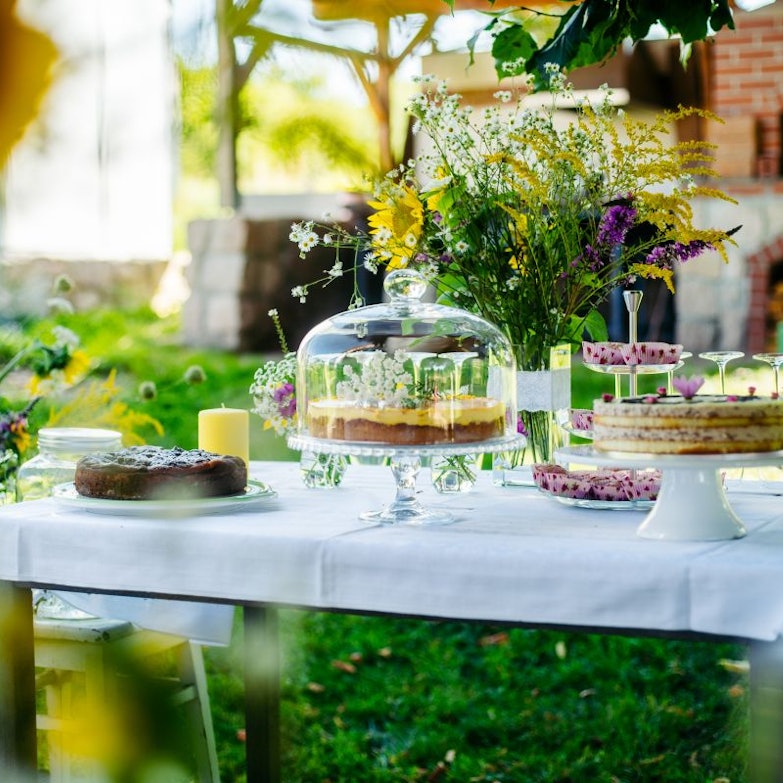 Terra.Ursprung Impressionen