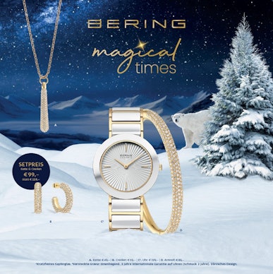Bering Flyer Magical Times 2024